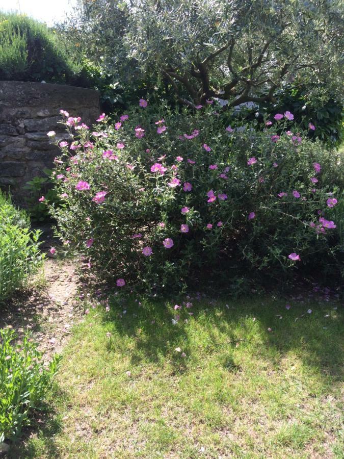 Вілла Le Mazet Des Joncs En Provence Saint-Pierre-de-Vassols Екстер'єр фото