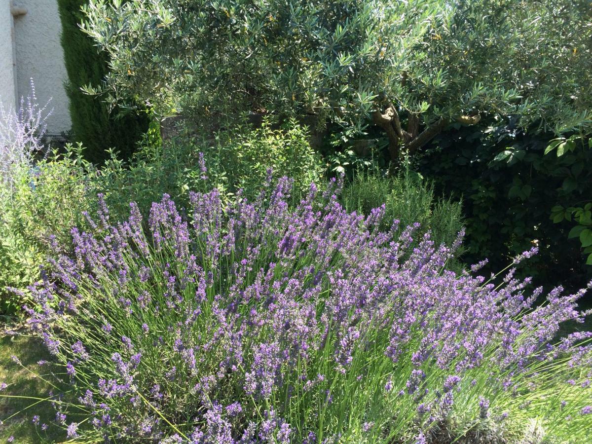 Вілла Le Mazet Des Joncs En Provence Saint-Pierre-de-Vassols Екстер'єр фото